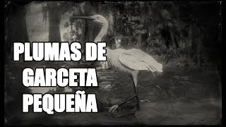 Red Dead Redemption 2 – ¿Cómo conseguir plumas de Garceta pequeña Little Egret [upl. by Weinstein]