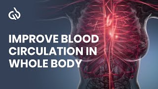 Blood Circulation Frequency Rife Frequency for Better Blood Flow [upl. by Gnuoy277]