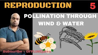 POLLINATION THROUGH ABIOTIC AGENTS [upl. by Notreb]