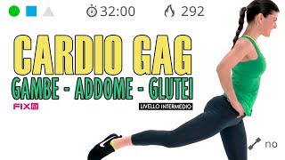 Allenamento Cardio GAG Senza Salti Esercizi Gambe Addominali e Glutei [upl. by Prentiss756]