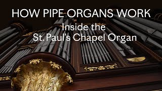 How Pipe Organs Work Inside the St Paul’s Chapel Organ [upl. by Akihsan177]