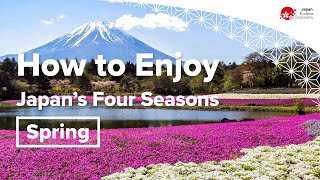 How to Enjoy Japans Four Seasons  Spring [upl. by Jameson]