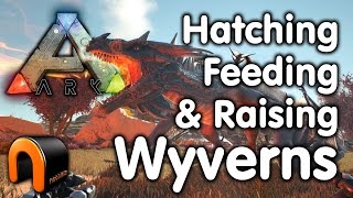 Ark Wyverns  How to Hatch Feed amp Raise Wyvens [upl. by Lizned]