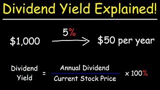 The Dividend Yield  Basic Overview [upl. by Bernstein]