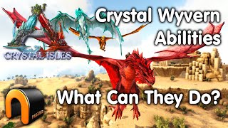 Ark CRYSTAL WYVERN ABILITIES amp What They Can Do [upl. by Ydiarf]