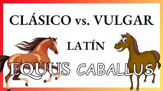 VOCABULARIO del latín CLÁSICO y VULGAR diferencias EvoluciónEspañol [upl. by Hcelemile]