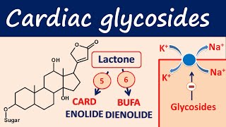 Cardiac glycosides in easy way  Digoxin digitoxin [upl. by Dnomasor]