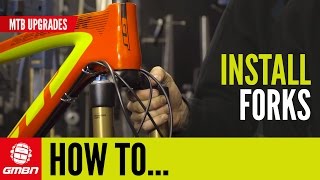 How To Install Forks  MTB Maintenance [upl. by Drida]