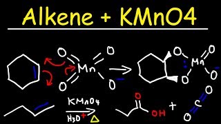 Alkene  KMnO4 Reaction [upl. by Ania148]