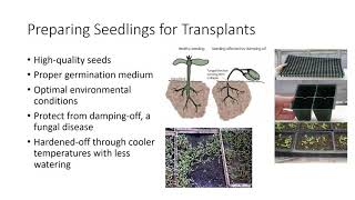 Seed Propagation [upl. by Collen873]