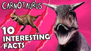 CARNOTAURUS 10 Interesting Facts [upl. by Llovera13]