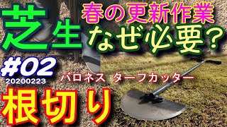 芝生の更新！根切り作業で芝を若返り202002 [upl. by Ahsekin]