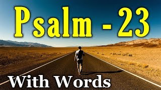 Psalm 23 Reading Finding Peace in the Shepherds Care With words  KJV [upl. by Hada]