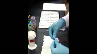 How to make a Cytology Smear [upl. by Garlaand109]