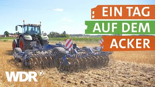 Annis Leben als Landwirtin  neuneinhalb – Deine Reporter  WDR [upl. by Madora]