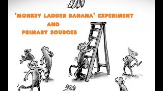 The Monkey Ladder Banana Experiment and Primary Sources [upl. by Cozza945]