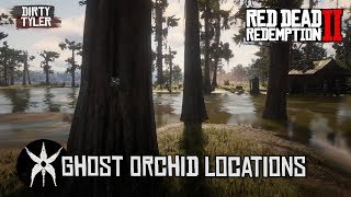 All Ghost Orchid Locations in Red Dead Redemption 2  RDR2 [upl. by Melmon150]