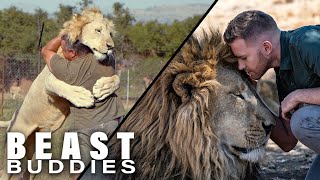 The Men Who Cuddle Lions I Beast Buddies Special [upl. by Jamilla]