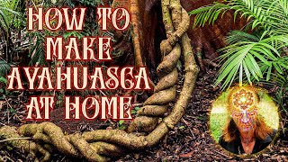 How to Make Ayahuasca Super Easy [upl. by Ak585]