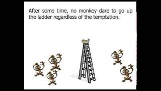 Five Monkeys and a Ladder  Famous Social Experiment [upl. by Fihsak44]