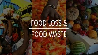 FAO Policy Series Food Loss amp Food Waste [upl. by Eniamret]