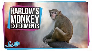 Harlows Horrifying Monkey Experiments [upl. by Cedell]