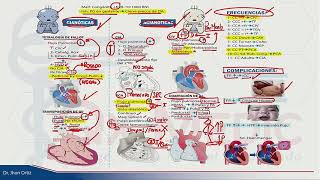 ESI 2019 PEDIATRÍA CARDIOPATÍAS CONGÉNITAS  DR JHON ORTIZ [upl. by Bonnell]