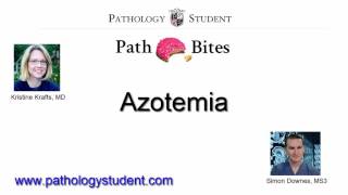 Path Bites  Azotemia [upl. by Essirahs]