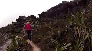 Walking Across the Top of Mount Roraima Venezuela [upl. by Akiraa]