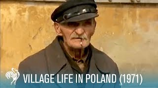 Village Life In Poland Rural Living 1971  British Pathé [upl. by Ettelrahc3]