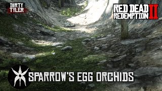 All sparrows egg Orchid Locations Red Dead Redemption 2 [upl. by Geraud]