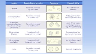 Interpretation of the Urinalysis Part 3  Microscopy and Summary [upl. by Kiah]