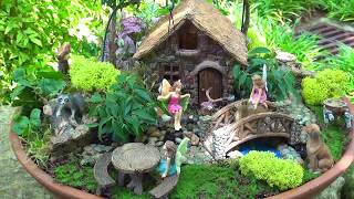 All About Fairy Gardens with Dave Forehand [upl. by Katharine]