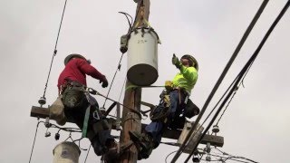 Life of a lineman [upl. by Moss]