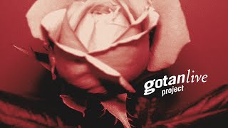 Gotan Project Live Full Album [upl. by Drofxer25]