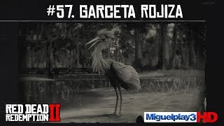 Localización Garceta Rojiza  57 Compendio Animales  Red dead redemption 2 [upl. by Riffle]