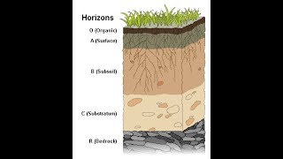 Weathering and Soil Formation [upl. by Hseham]