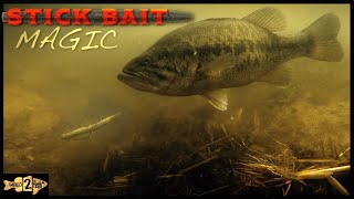 How to Fish Soft Stick Baits for Shallow Bass [upl. by Enyaz]