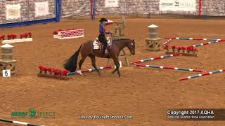 A Judges Perspective 2017 AQHA Select Trail World Champion [upl. by Sairtemed830]