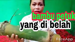 bambu petuk yang di belah [upl. by Yvaht]