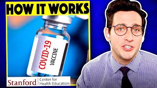 The Truth About COVID19 Vaccines ft Dr Seema Yasmin [upl. by Walt]