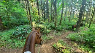 Horse Trail ride on a difficult singletrack trail [upl. by Enomahs56]