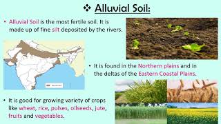 Soils of India CBSE SSTEVS Class 4 [upl. by Cardwell]