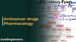 Anticancer drugs pharmacology  anticancer drugs [upl. by Anerak]