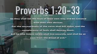 Proverbs 12033 The Call of Wisdom [upl. by Betthezel]