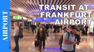 TRANSIT WALK AT FRANKFURT Airport FRA Terminal 1  Connection Flight Transfer Arriving amp Departing [upl. by Enymzaj]