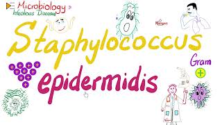 Staphylococcus epidermidis  Microbiology 🧫 amp Infectious Diseases 🦠 [upl. by Irem89]