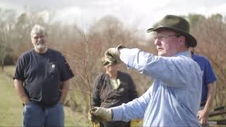 HandsOn Blueberry Pruning Workshop North Carolina [upl. by Anne721]