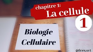 Chapitre 1  La cellule les procaryotes [upl. by Ariew]