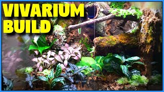 Bioactive Vivarium Build  Tropical Vivarium Setup StepByStep [upl. by Suirtimid]